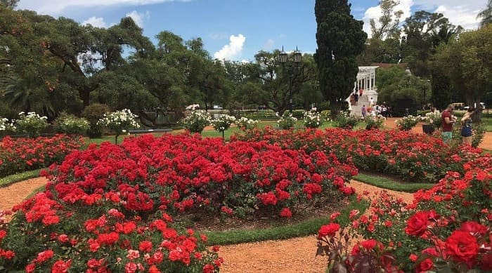 Descubra o que fazer em Buenos Aires com roteiro de 7 dias, custos atualizados, melhores bairros para se hospedar